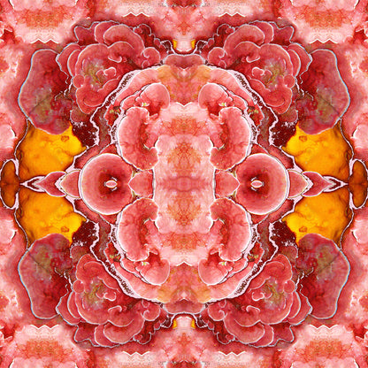 Rose Conversation